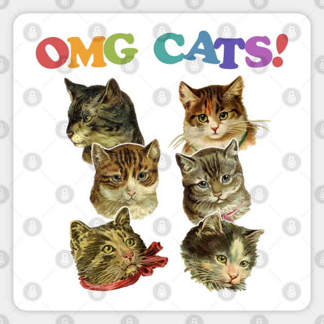 OMG Cats! Cat Lover Retro Design Magnet by DankFutura